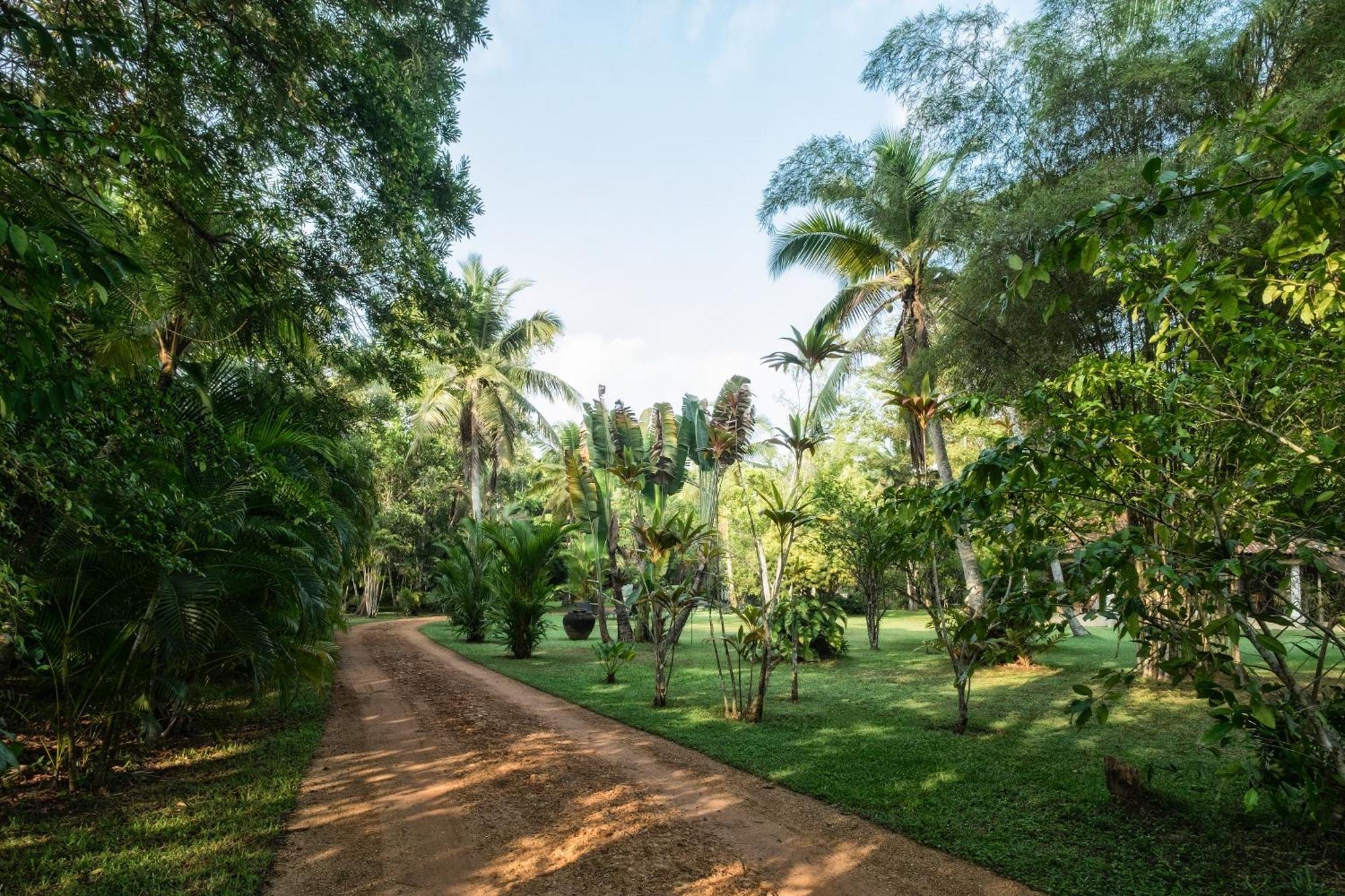 Nisala Arana Boutique Hotel Bentota Luaran gambar