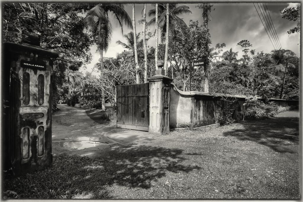 Nisala Arana Boutique Hotel Bentota Luaran gambar