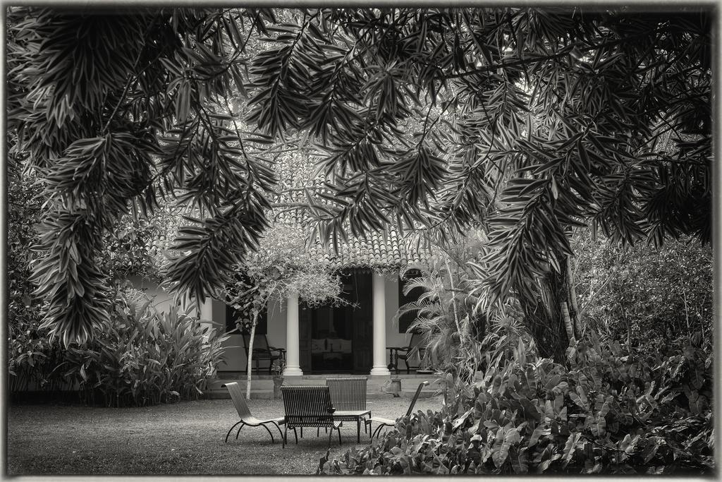 Nisala Arana Boutique Hotel Bentota Luaran gambar