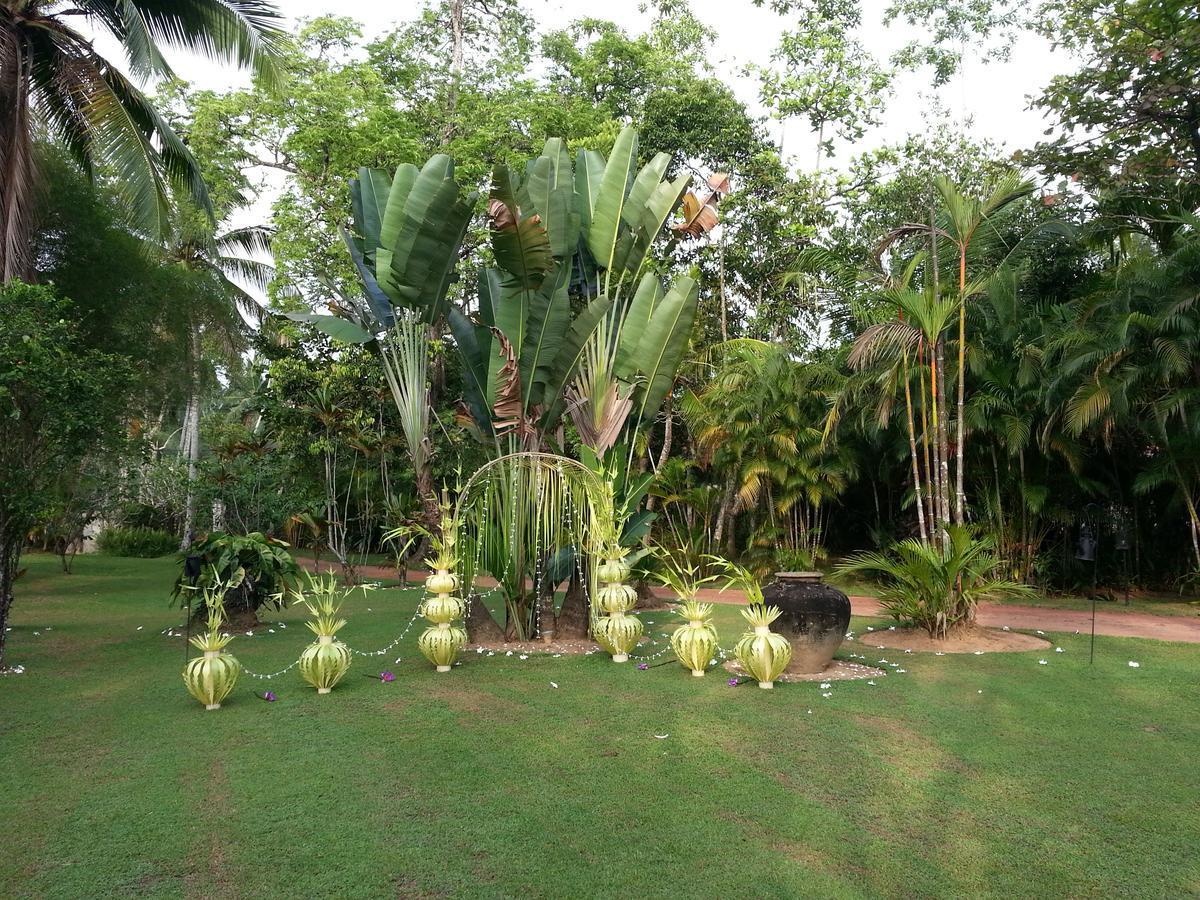 Nisala Arana Boutique Hotel Bentota Luaran gambar