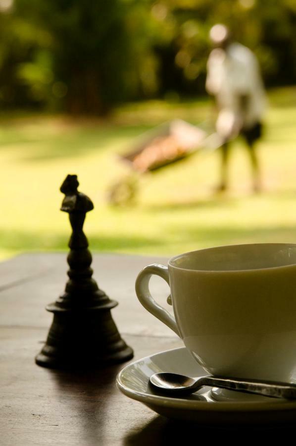 Nisala Arana Boutique Hotel Bentota Luaran gambar